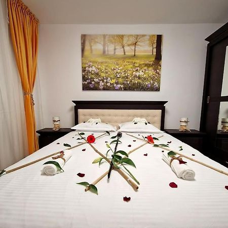 Forest Intimate Hideaway - Sub Padure Love Nest Apartment Brasov Luaran gambar